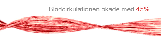 Blodcirkulation