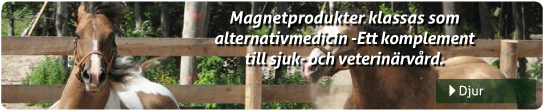 Magnetprodukter