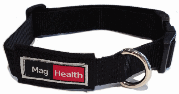 Magnethalsband med FIR - hund